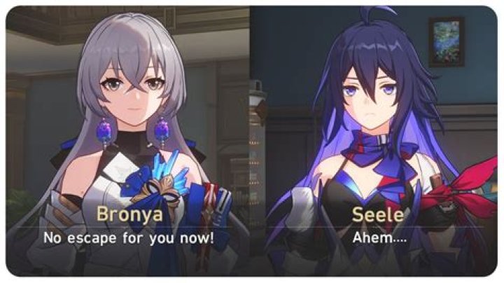 Are Seele and bronya siblings?