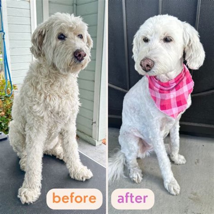 Can a 19 year old be groomed?