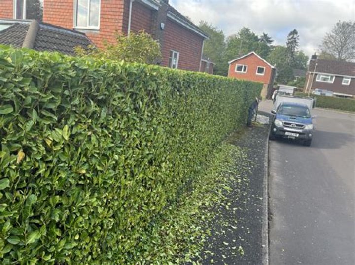 Can I cut my Neighbour's hedge on my side?