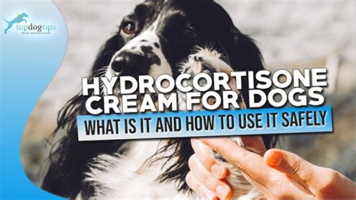 Can I put hydrocortisone cream on my dog?
