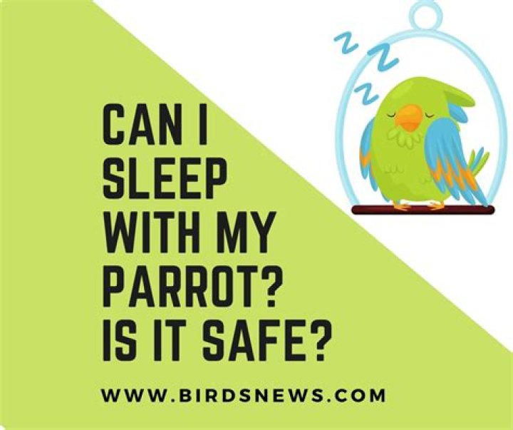 Can I sleep with my parrot?