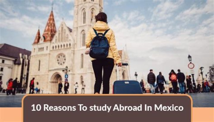 Can I study abroad in Mexico?