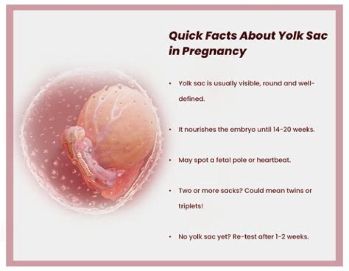 Can there be a yolk sac and no baby?