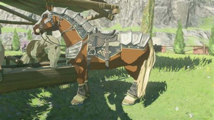 Can you dye horse armor Botw?