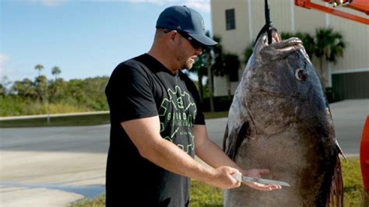 Can you eat goliath grouper?