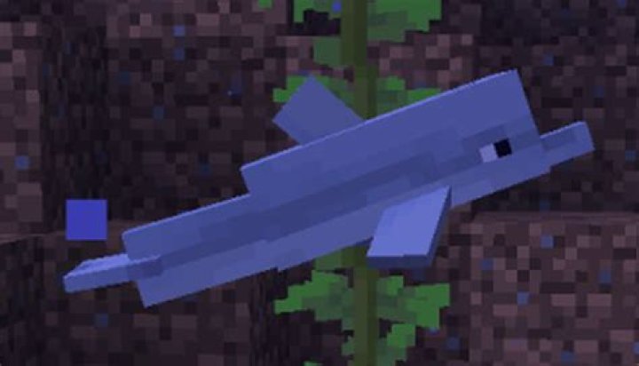 Can you put a lead on a dolphin in Minecraft?