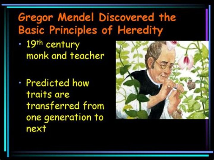 Did Gregor Mendel Discover blending inheritance?