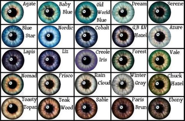 Do siblings have same eye color?