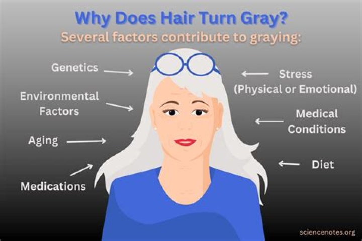 Do women's pubic hair turn GREY?