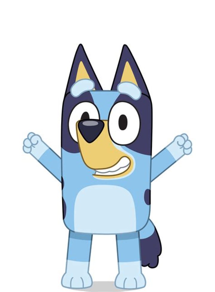 Does Bluey have a catchphrase?