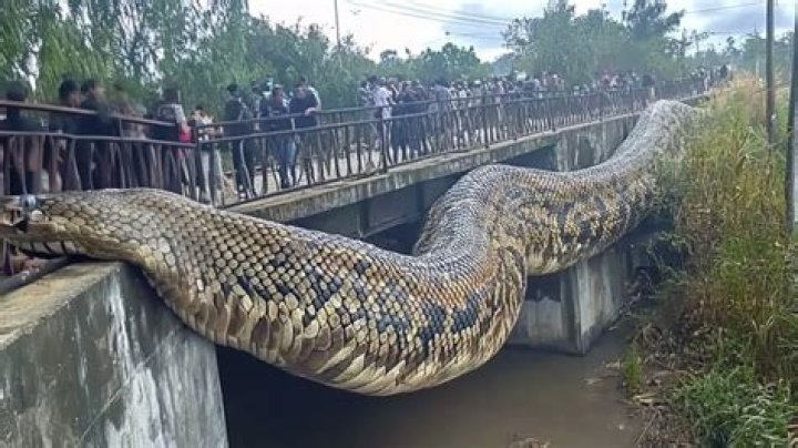 Does PyCharm need Anaconda?