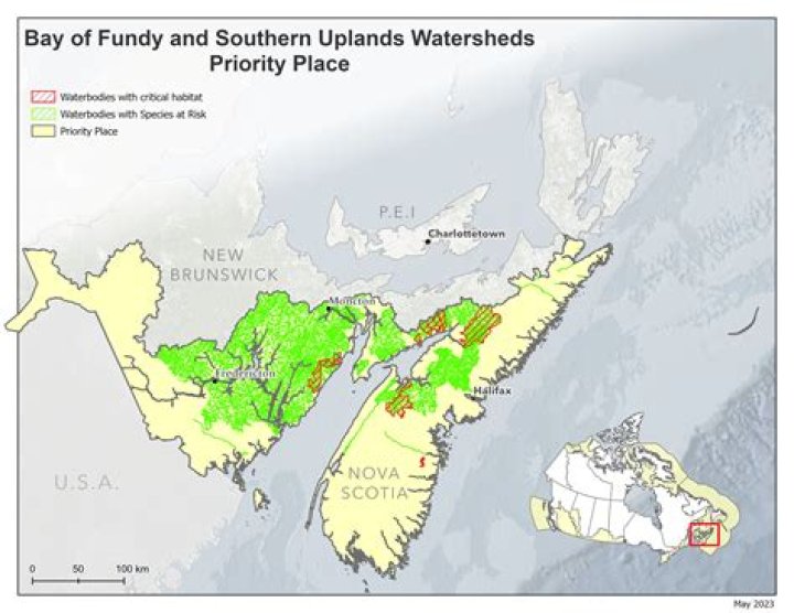 Does the Bay of Fundy freeze?