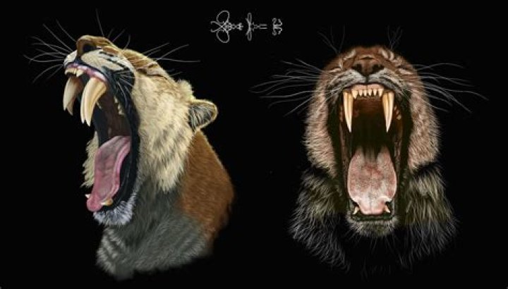 How is lycanthropy spread?