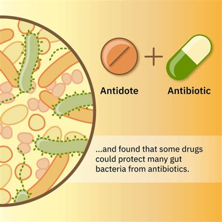 How long before antibiotics work for wound infection?