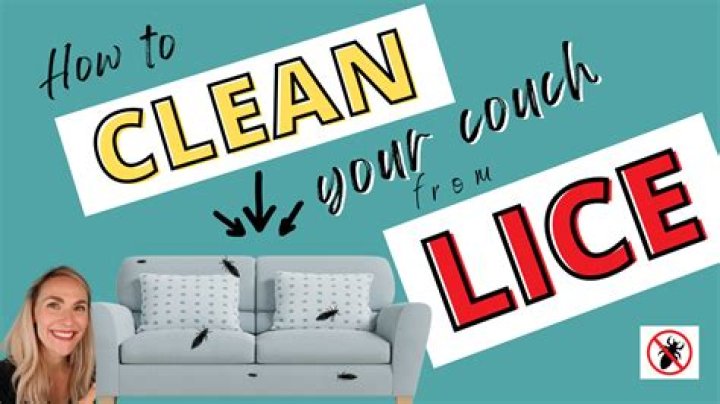 How long do you bag pillows for lice?