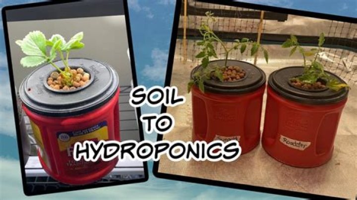 How much hydrogen peroxide should I add to my hydroponic system?
