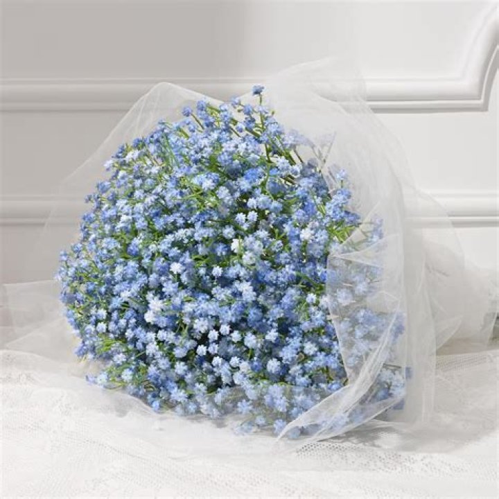 How much is a stem of baby's breath?