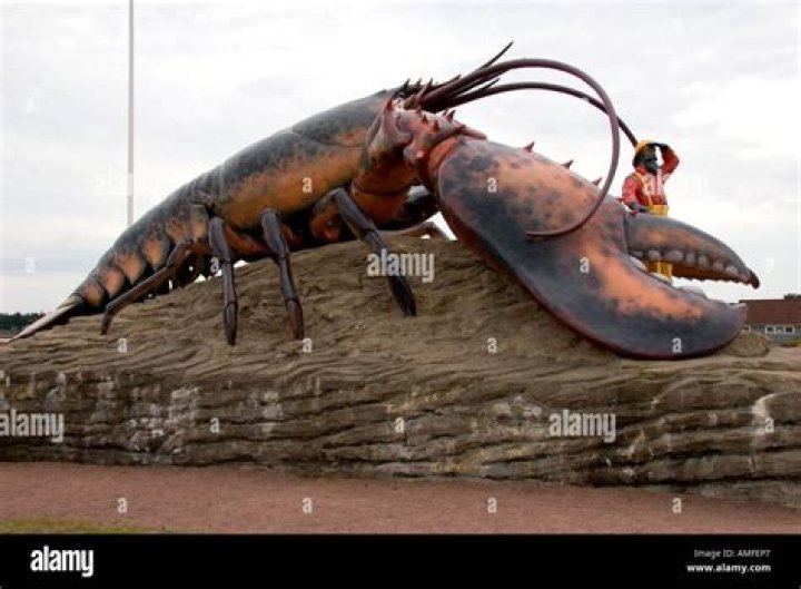 How old is the world's oldest lobster?