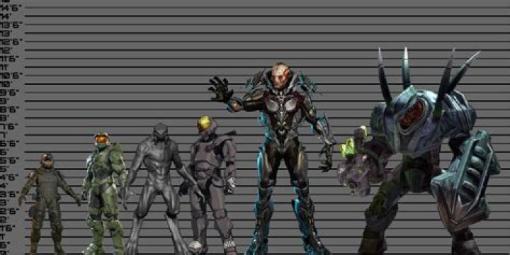 How tall is a Halo grunt?