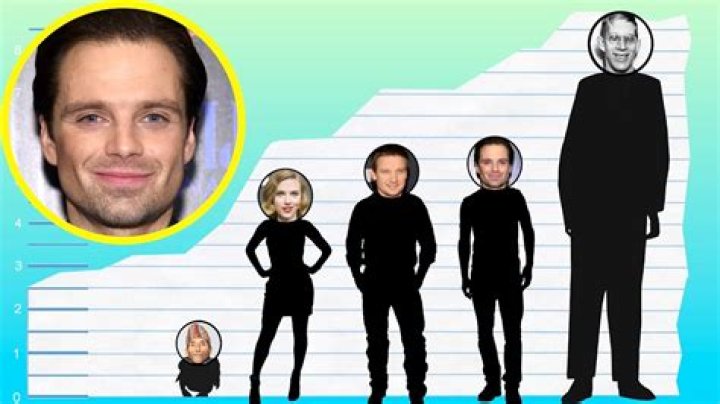 How tall is Sebastian Stan?