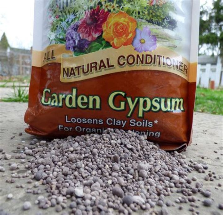 Is gypsum good for plants?