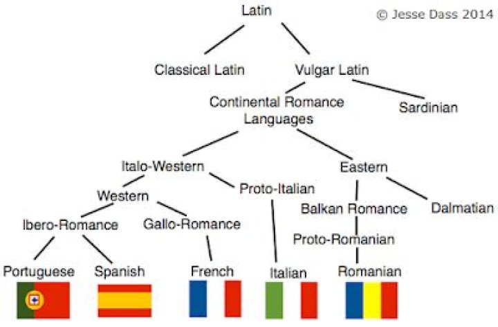 Is Latin the mother of all languages?
