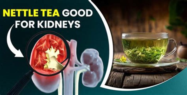 Is Moringa tea good for kidneys?
