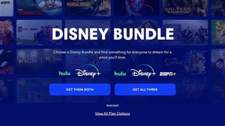 Is the Disney Plus bundle better than Netflix?