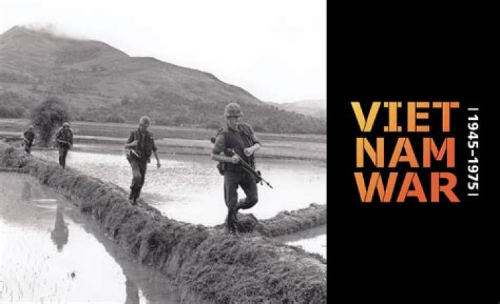 Were there any mercenaries in the Vietnam War?