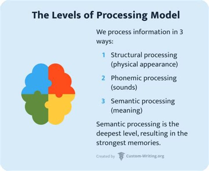 What is example of processing?