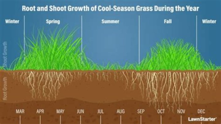 What temperature should I overseed my lawn?