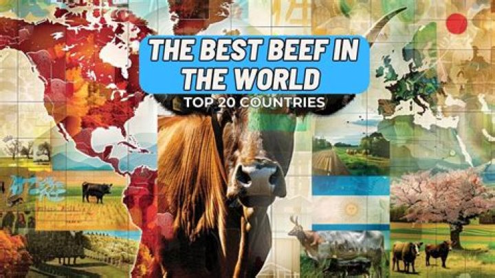 What's the best meat in the world?