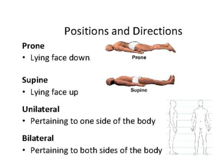 Which directional term refers to lying face down on the abdomen?