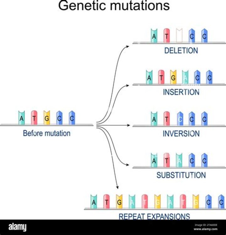 Why are insertion and deletions known as frameshift mutations?