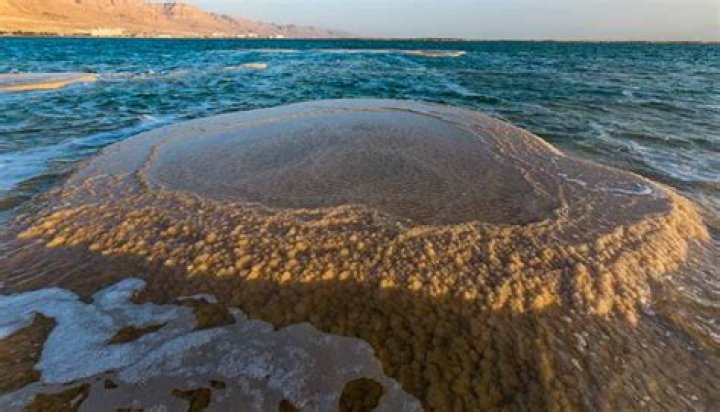 Why is it called Dead dog island?