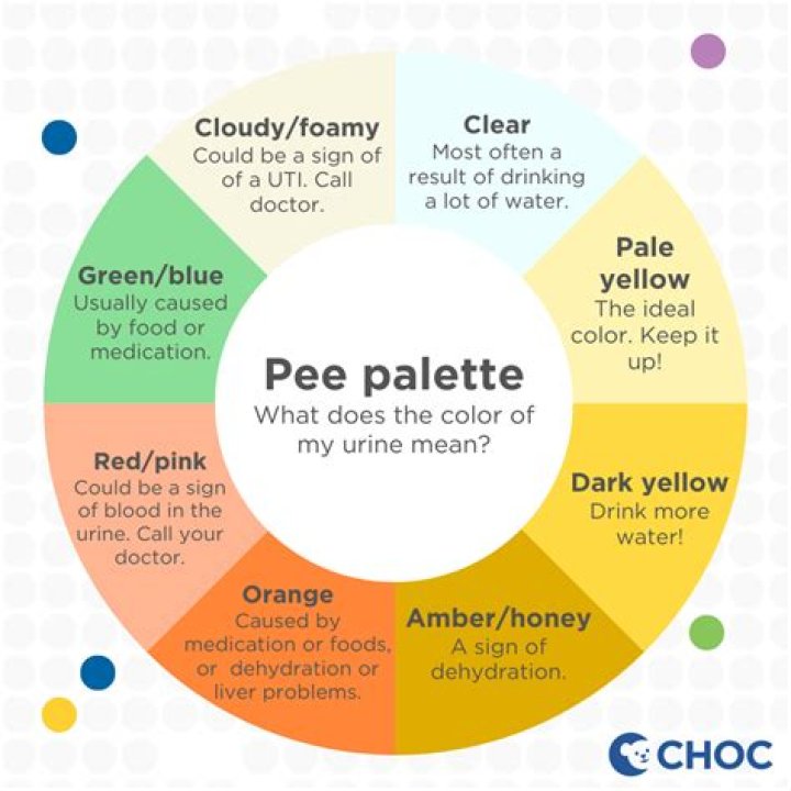 Why is my pee clear pregnant?