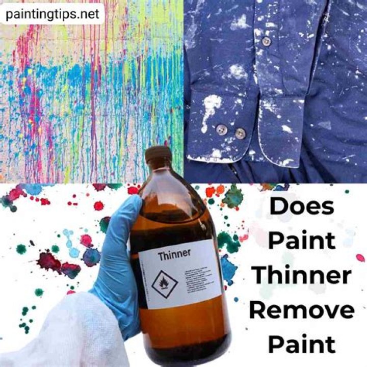 Will paint thinner remove dried paint?